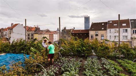 Les villes pourraient atteindre zéro émission nette de carbone dici 10