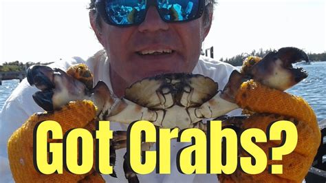 Catching Stone Crabs In South Florida Youtube