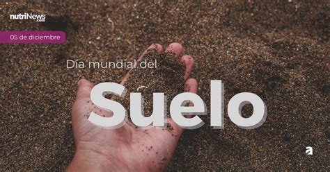 Día mundial del suelo por qué es importante celebrarlo