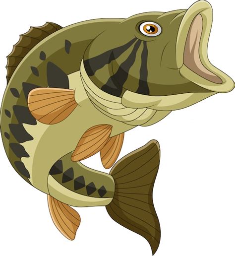 Premium Vector | Cartoon bass fish isolated