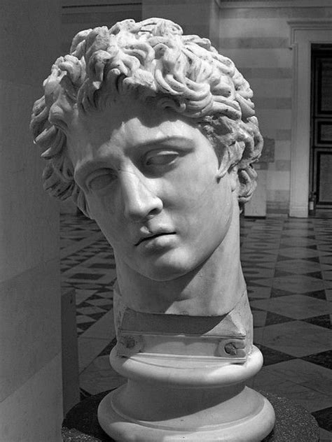 A Marble Bust Of A Man With Curly Hair On Display In A Museum Or Building