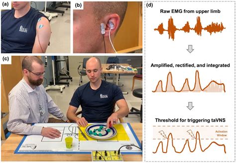 Motor Activated Auricular Vagus Nerve Stimulation As A Potential