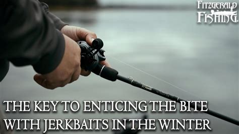 Maximizing Your Catch Tips And Techniques For Wintertime Jerk Baiting