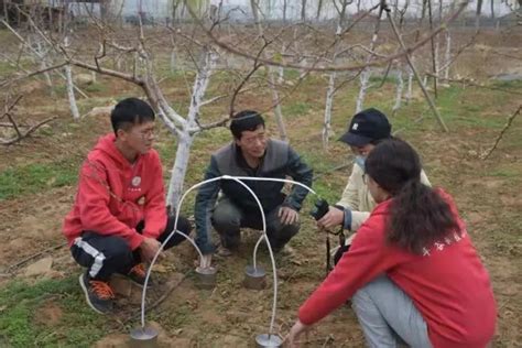 中国农业大学新闻网 媒体农大科技之窗 助力乡村振兴新模式——平谷“科技小院” 让科技走入田间地头