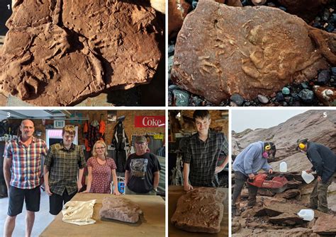 Fossil Footprints Discovered In New Brunswicks Stonehammer UNESCO