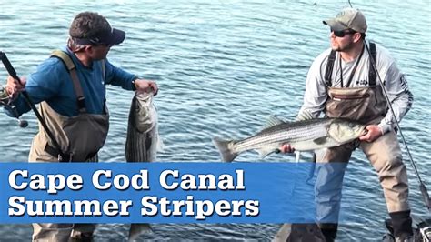 Summer Stripers In The Cape Cod Canal S13 E8 Youtube