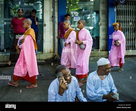 Yangon Yangon Region Myanmar 24th Nov 2017 Buddhist Nuns Also Known As Bhikkhuni Pass