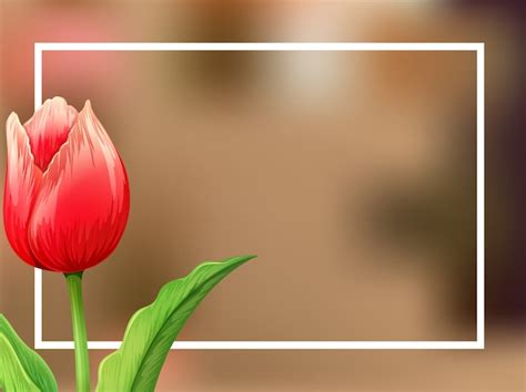 Tulips Border Design