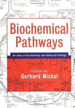 Biochemical Pathways: An Atlas of Biochemistry and Molecular Biology ...