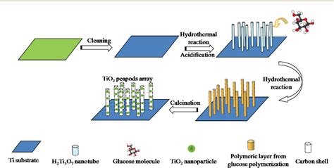 Figure From A Self Supported Peapod Like Mesoporous Tio C Array With