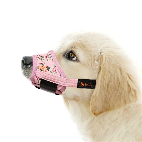 Do Muzzles Keep Dogs From Barking