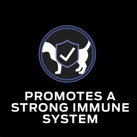 Purina Pro Plan Veterinary Supplements FortiFlora Feline Probiotic ...