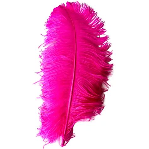 Hot Pink Ostrich Feather Wings Cm