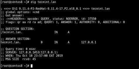 How To Setup A Dns Dhcp Server Using Dnsmasq On Centos Rhel 8 7