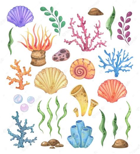 Watercolor Painting Of Seaweed Corals And Shells