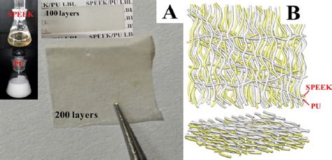 Preparation Of Speek Pu Membrane A Photographs Of The Reactant