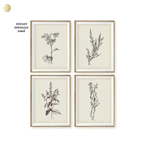 Modern Rustic Vintage Botanical Print Set Black And White Set 4 Print