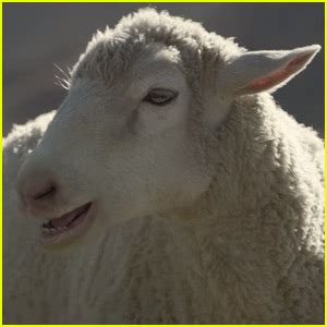 Honda Super Bowl Commercial 2016 Sheeps Sing Queen 2016 Super Bowl