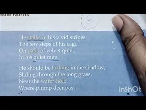 Tiger Poem Hindi Explanation Class 5 Tiger Poem Gulmohar CBSE Board