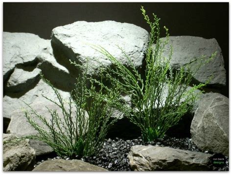 Silk Aquarium Plants - Silk Reptile Plants: Palm Leaves From Ron Beck Designs.