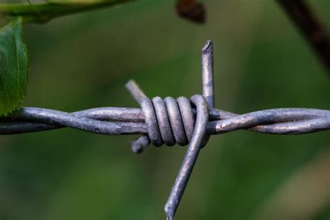 Barbed Wire Fencing - austech