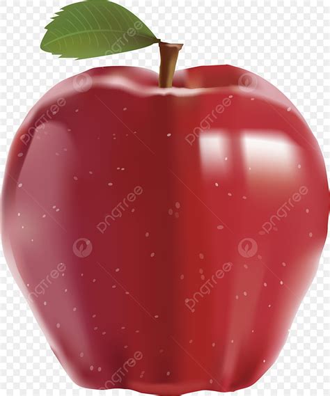 Apples Vector Hd Png Images Apple Vector Realistic Png Image For