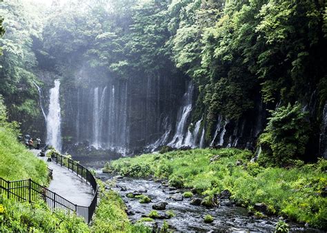 10 Best Things To Do In Shizuoka Prefecture