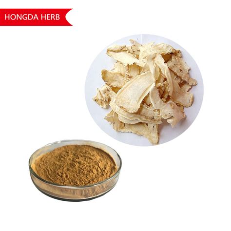 Factory Supply Natural Angelica Root Powder Angelica Root Extract Angelica Extractchina Price