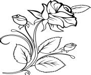 Coloriage Rose Et Coeur 113 JeColorie