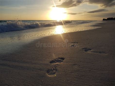 Passos Na Areia Foto De Stock Imagem De Areia Sunset 118168398