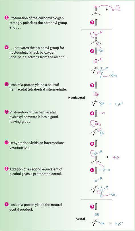 19 10 Nucleophilic Addition Of Alcohols Acetal Formation Organic