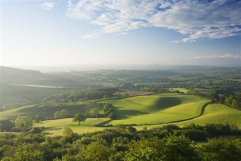 There’s a hidden wildlife crisis at the heart of the UK countryside ...