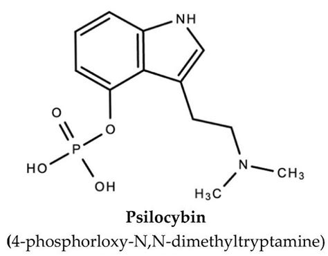 Psilocybin Uses Mechanism Of Action Side Effects Safety