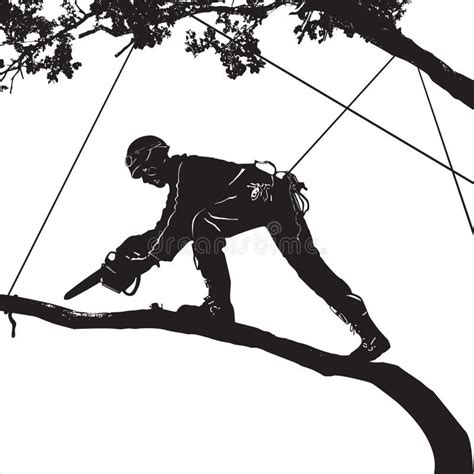 Arborist Stock Illustrations 648 Arborist Stock Illustrations