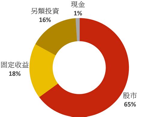 積極型投資組合資產配置台灣星展豐盛理財