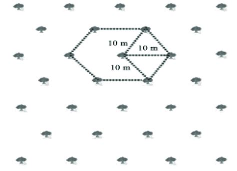 4 Hexagonal System 4 Triangular Planting It Is A System In Which