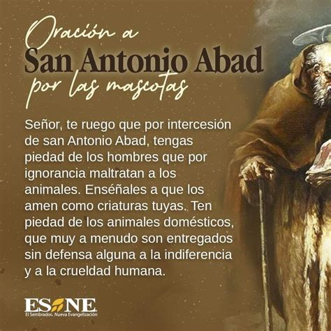 Oracion A San Antonio San Antonio Abad