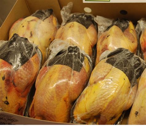 Oven Ready Pheasants From Meatex