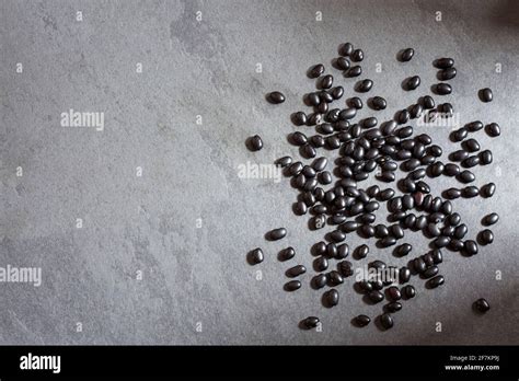 Raw Black Beans Top View Phaseolus Vulgaris Black Turtle Stock