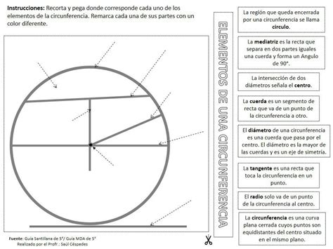 Partes Del Circulo