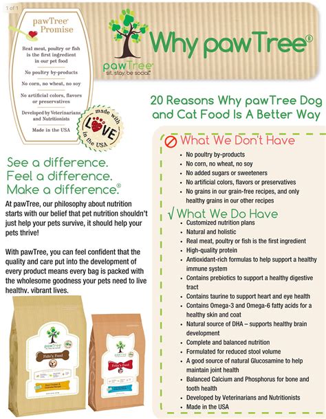 Why We Choose pawTree and Why You Should Too!