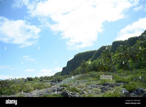 This Photo Shows How A Rock Protrudes From The Fabulous Jungle Of The