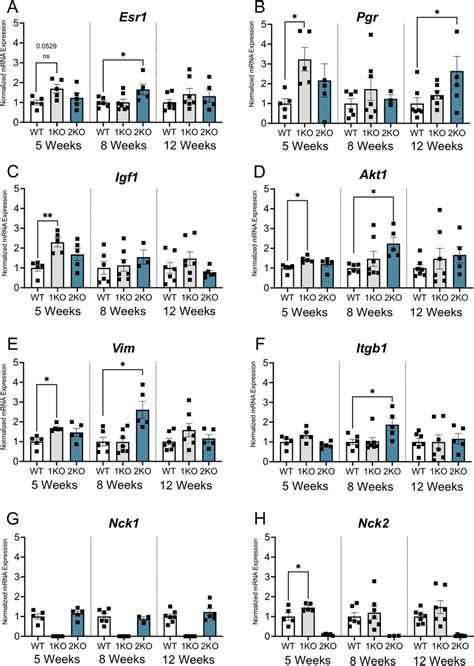 Loss Of Nck1 Or Nck2 Alters Gene Expression Patterns In The Developing