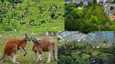 detail gambar ekosistem buatan koleksi nomer