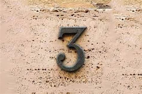 nghia gi sim   dep hay xau va nen mua khong