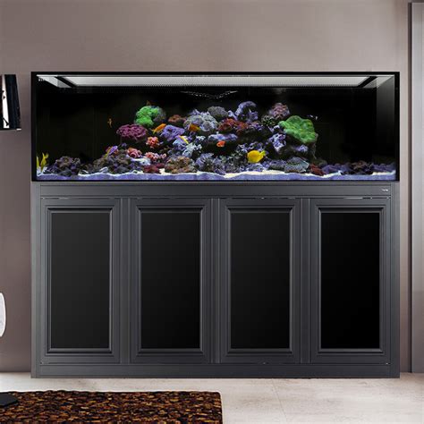 NUVO INT 240 Gallon Reef Ready Aquarium With Black APS Stand