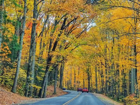 Smoky Mountain Fall Foliage 2017 | Travel Quest - US Road Trip and ...