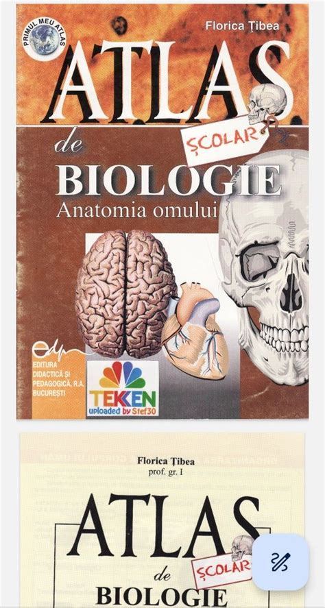 Anatomia Omului Atlas Biologie Brasov Olx Ro