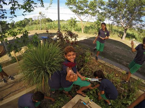 Pedagogia Da Altern Ncia Garante Educa O De Crian As No Campo