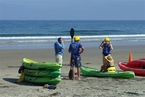 La Jolla Kayak Tours and Rentals, La Jolla, CA - California Beaches